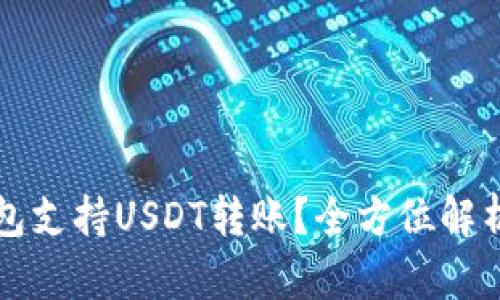 什么钱包支持USDT转账？全方位解析和推荐